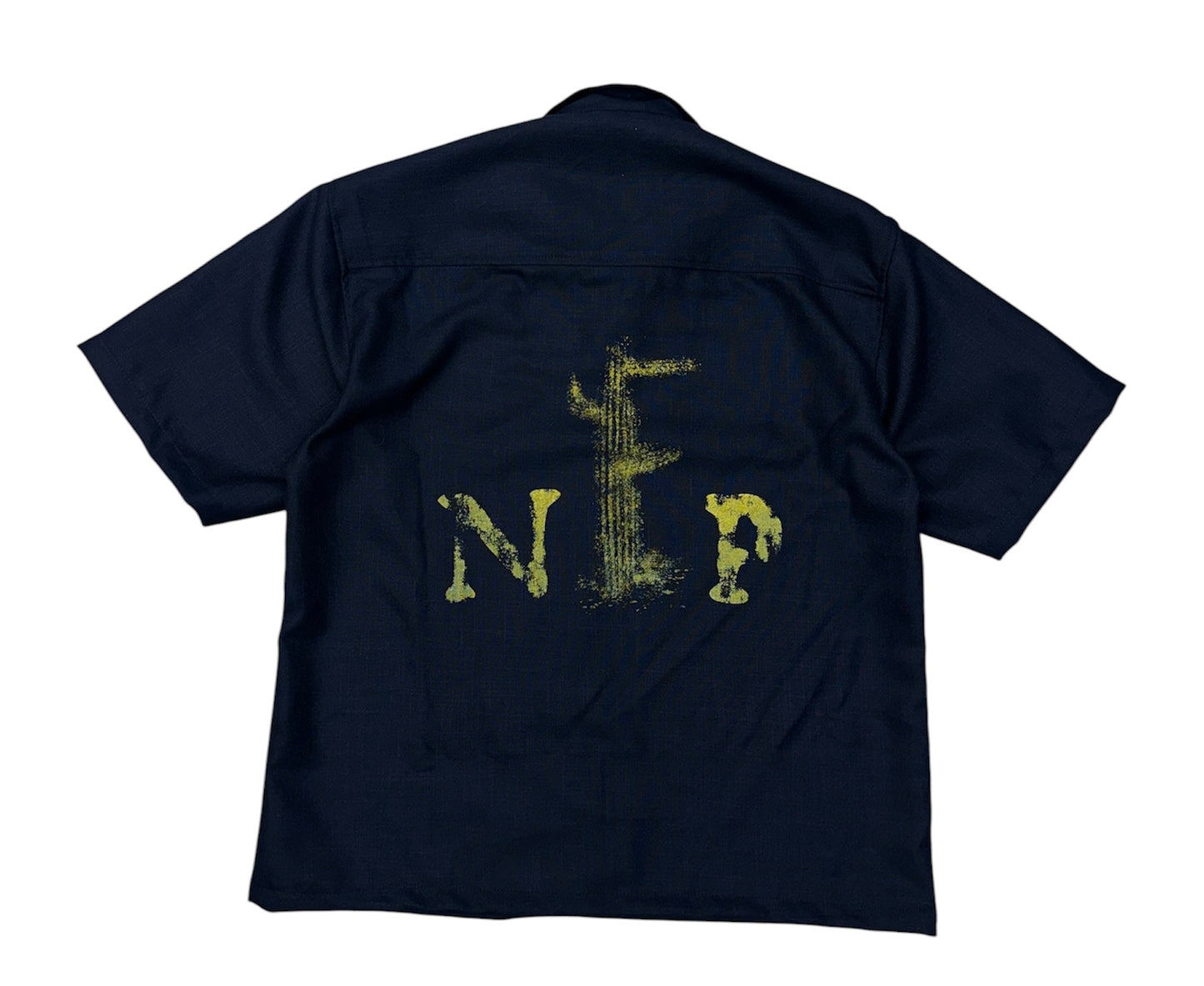 Blue Shirt Cactus NFP